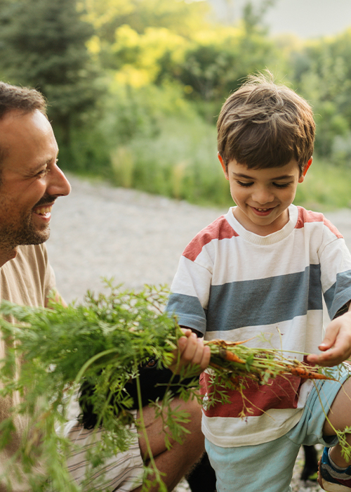 Grüne Energie - Nachhaltigkeit und Zukunft vereint