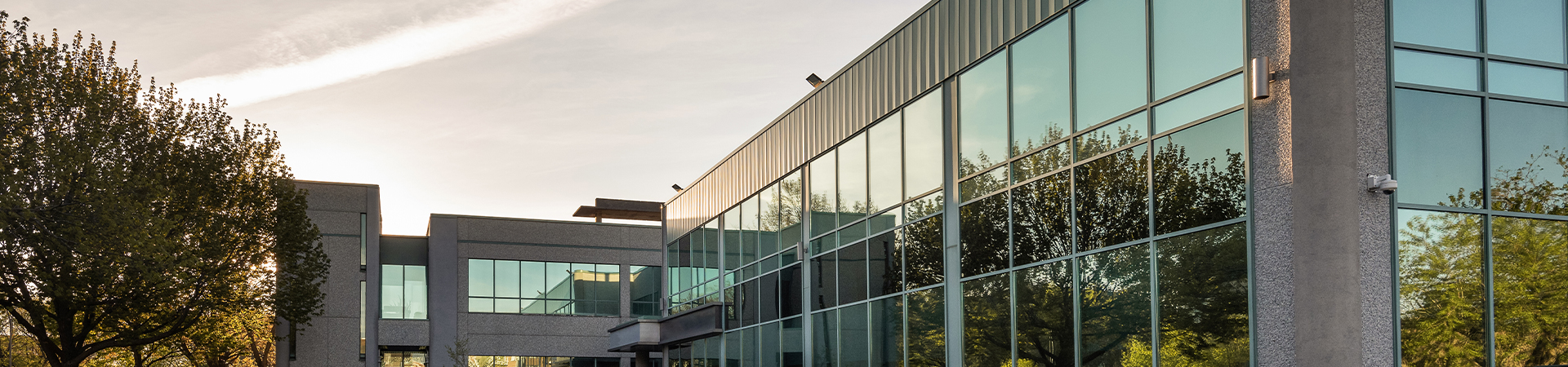 Moderne Büro- oder Gewerbeimmobilie mit großflächiger Glasfassade. In den Fenstern spiegeln sich Bäume und Himmel, daneben stehen begrünte Außenflächen. Aufnahme bei warmem Tageslicht.